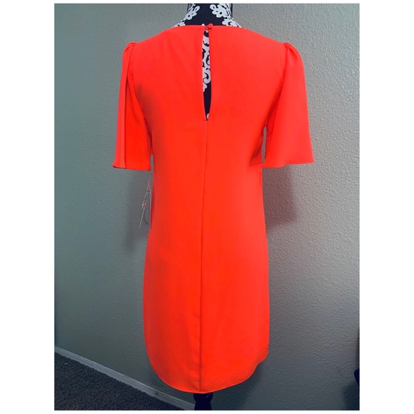 NWT Dress w/ Flutter Sleeves, Vibrant Orange - Picture 5 of 7